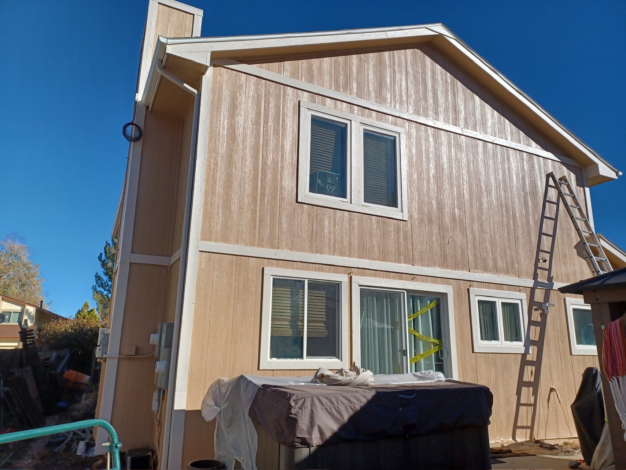 Professional painter working